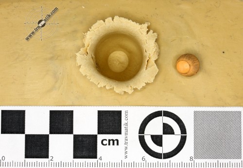 06. Травматический патрон «ТЕРЕН-3ФП». Тестовый отстрел. 06. Травматический патрон «ТЕРЕН-3ФП». Тестовый отстрел.