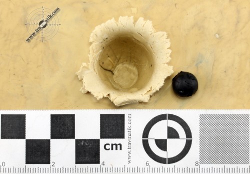 Травматический патрон с маркировкой «ПС9 – 9 mm». Тестовый отстрел. Травматический патрон с маркировкой «ПС9 – 9 mm». Тестовый отстрел.