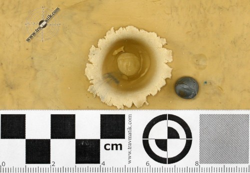11. Травматический патрон «ГП 9 мм РА» от ООО «АСКА». Тестовый отстрел по баллистическому пластелину.