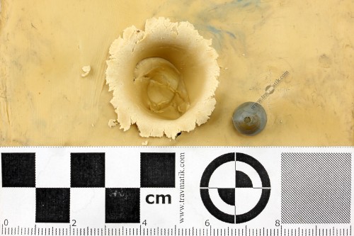 14. Травматический патрон «ФОРТ-Т». Версия 2010 года. Тестовый отстрел. 14. Травматический патрон «ФОРТ-Т». Версия 2010 года. Тестовый отстрел.