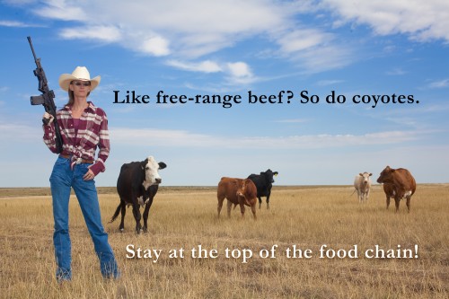 07. Фото (c) Oleg Volk (https://olegvolk.net) 07. Фото (c) Oleg Volk (https://olegvolk.net)